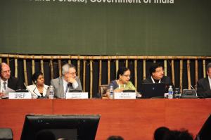 Mesa Presidencial con la Ministra de Medio Ambiente de la India como Presidenta